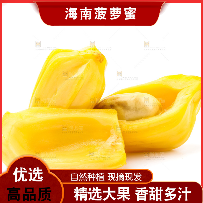 浅底上的海南菠萝蜜