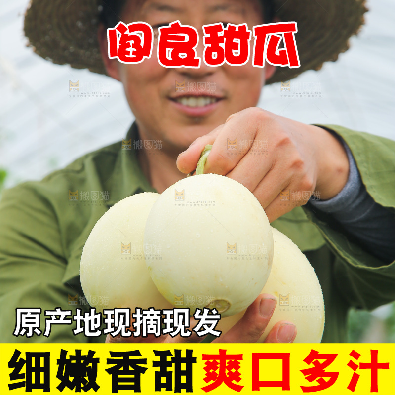 手里捧着阎良甜瓜