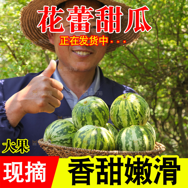 手里端着一篮花蕾甜瓜