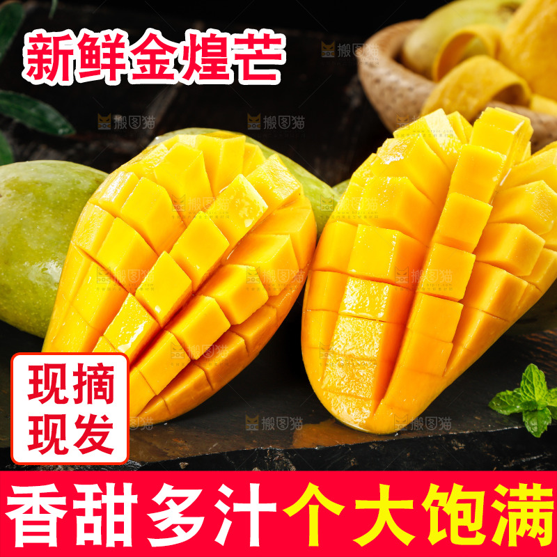 黑底上放着海南金煌芒