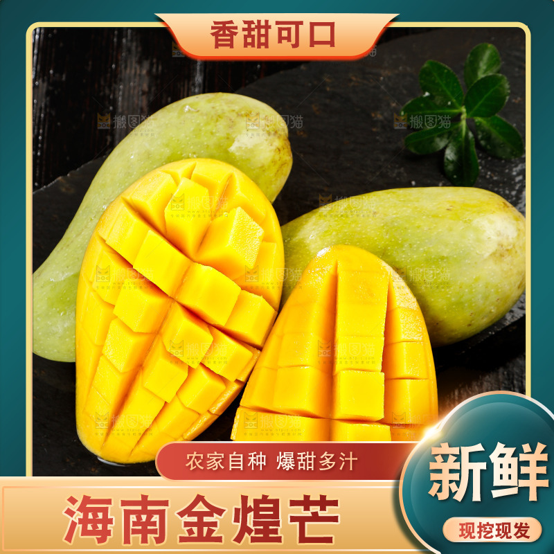 黑底上的金煌芒