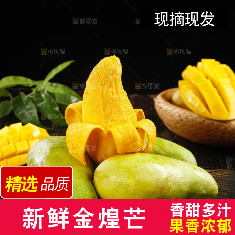 黑底上的金煌芒