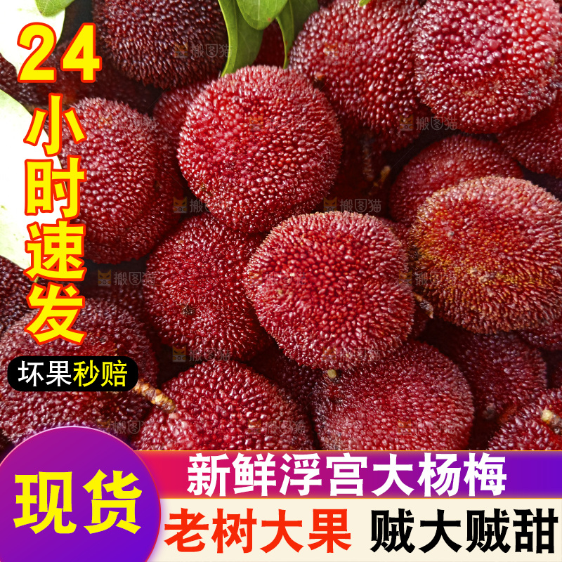 新鲜杨梅纹理