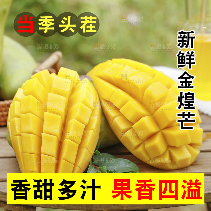 桌子上放着一堆金煌芒