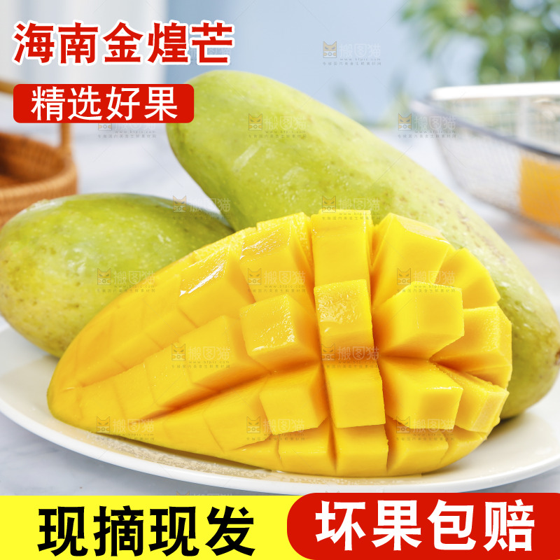 一盘金煌芒