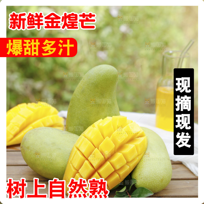 桌子上放着一堆金煌芒