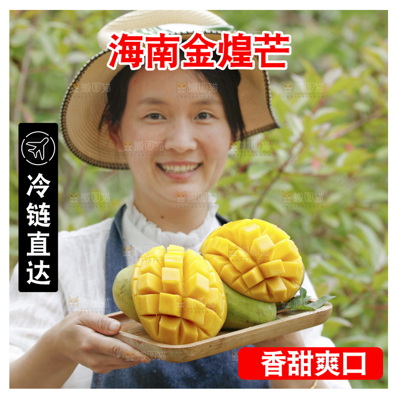 手里端着一盘金煌芒