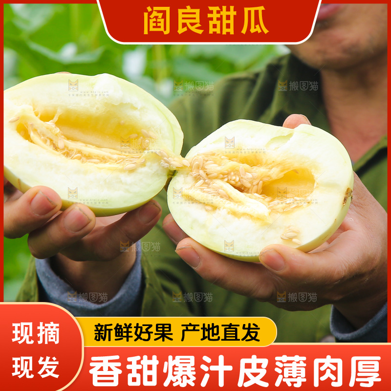 手里拿着阎良甜瓜