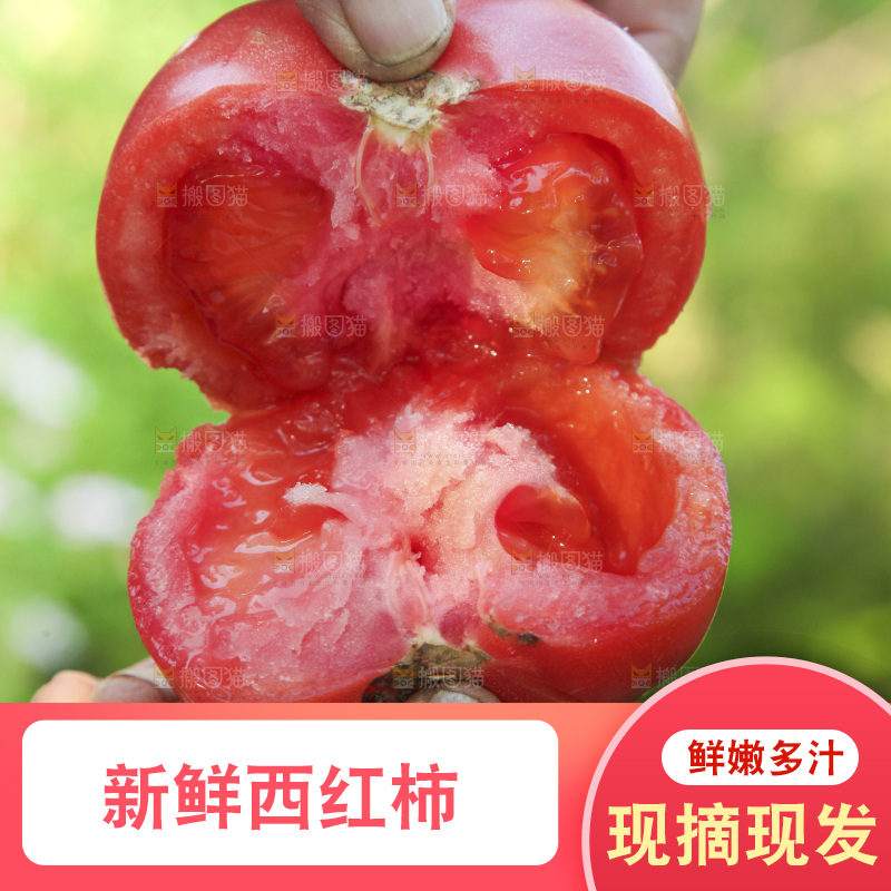 手里掰着沙瓤西红柿