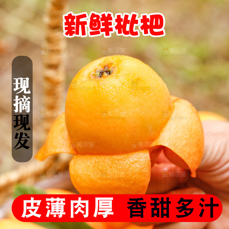 手里拿着枇杷