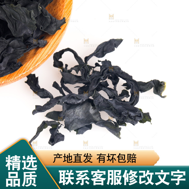 白底上的裙带菜