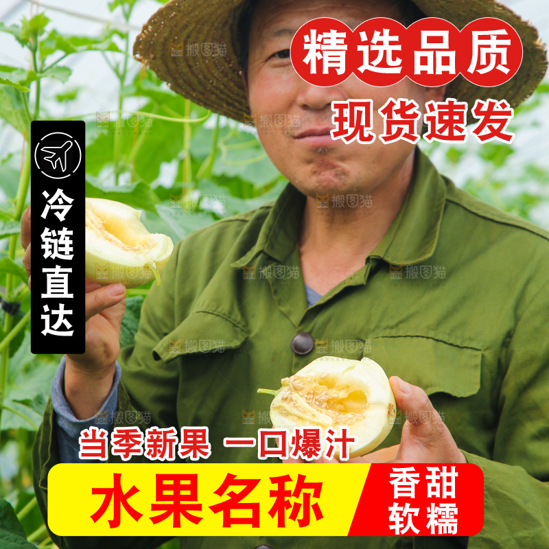 吃着阎良甜瓜