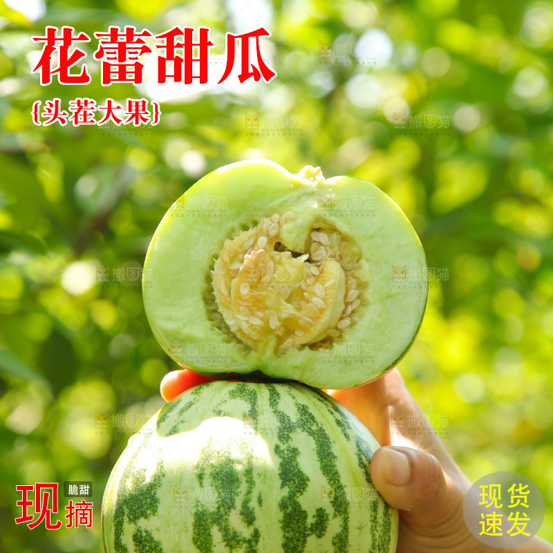 手里拿着甜瓜