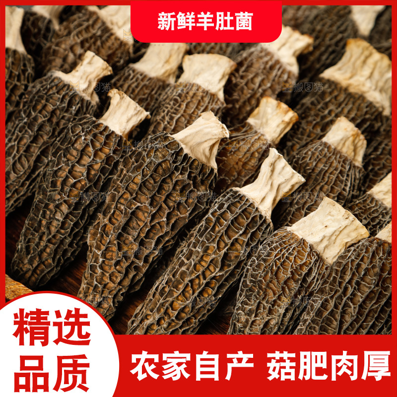 一盘有柄羊肚菌
