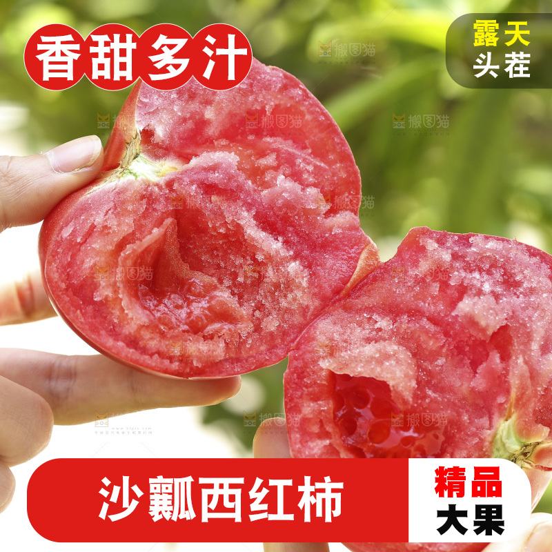 手里拿着沙瓤番茄