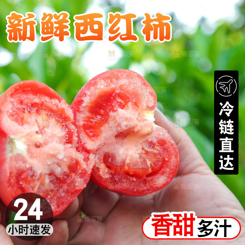 手里拿着沙瓤番茄