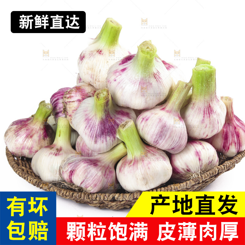 白底上放着一篮新鲜大蒜