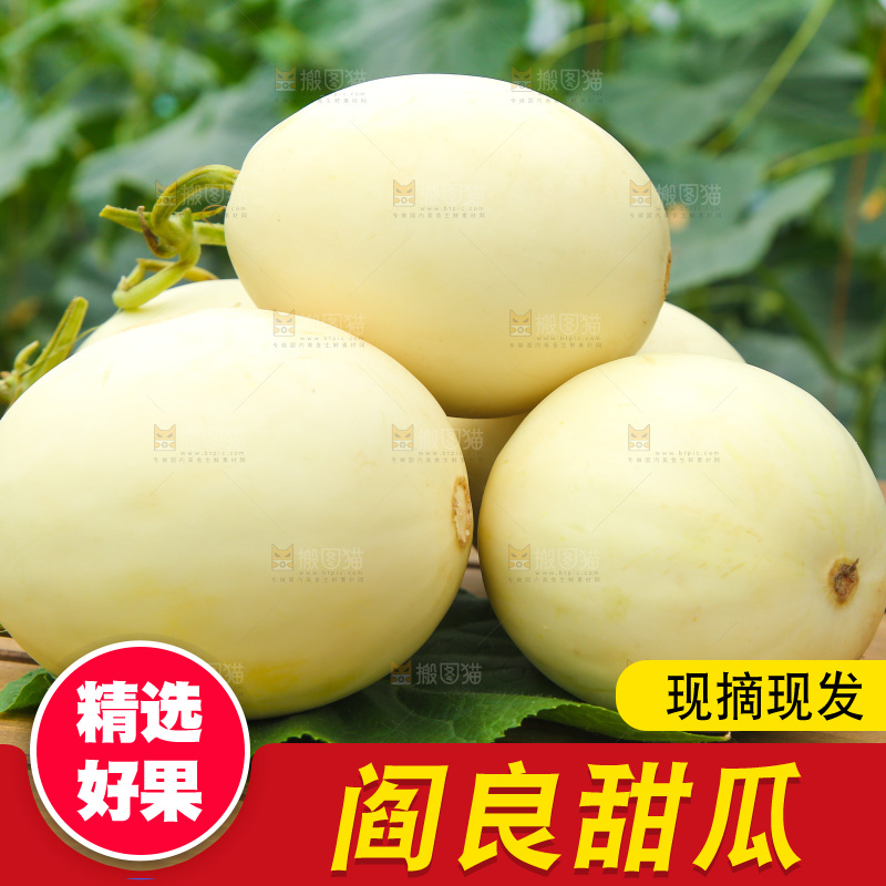 桌子上放着一堆阎良甜瓜