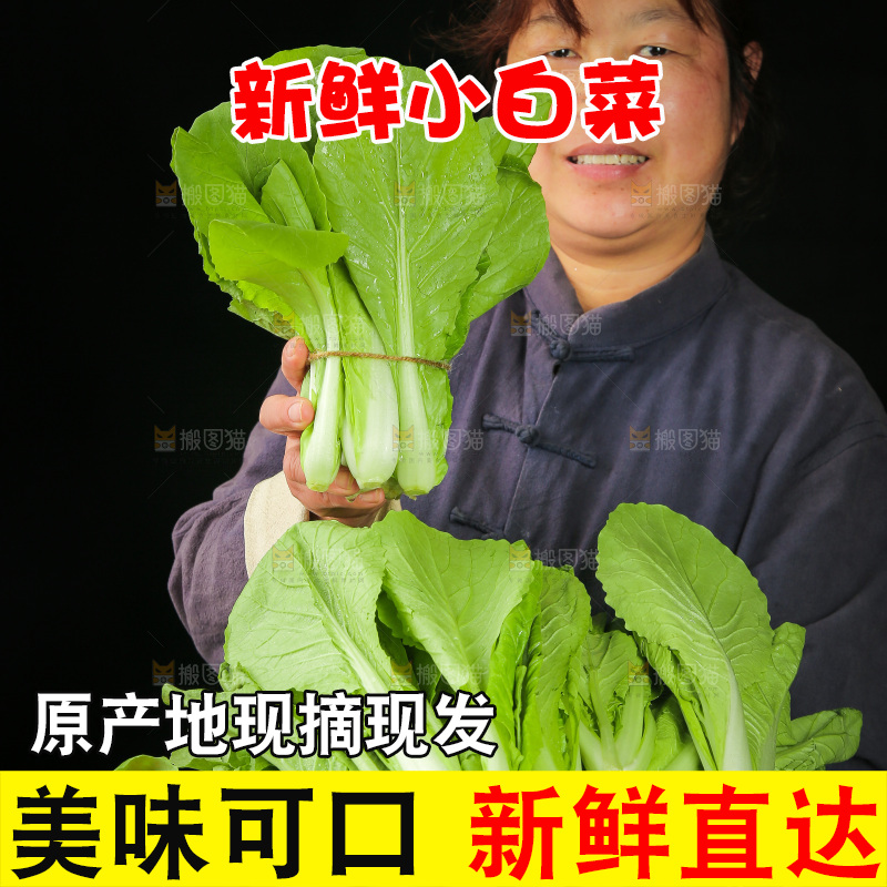 手里拿着小白菜