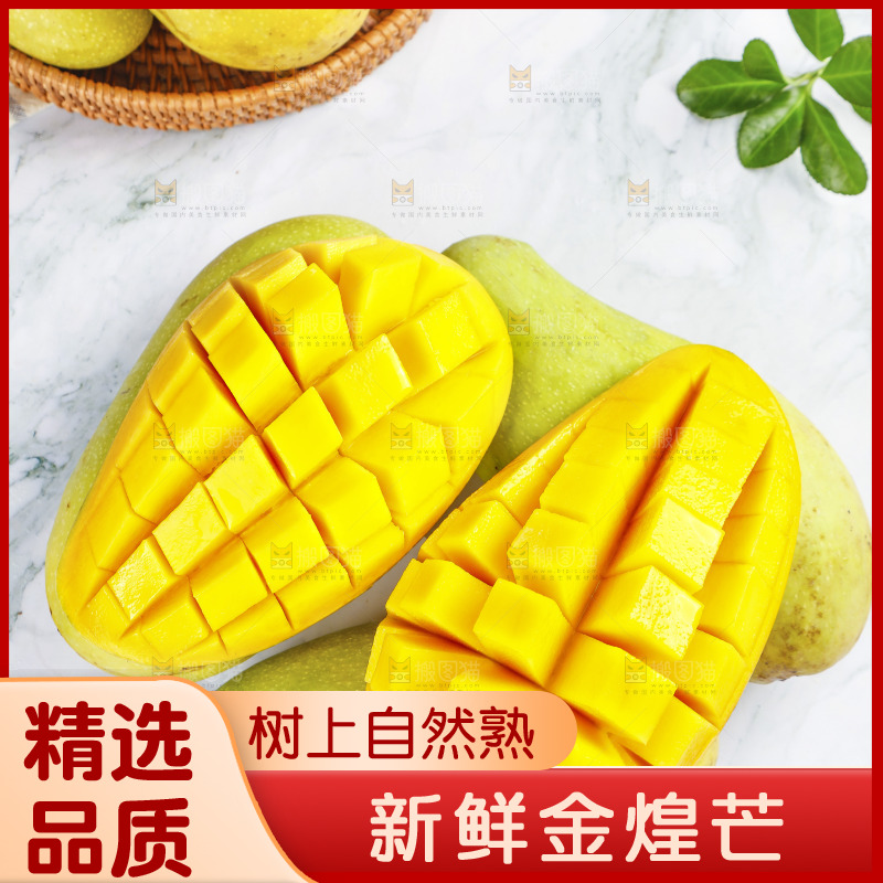 一堆金煌芒
