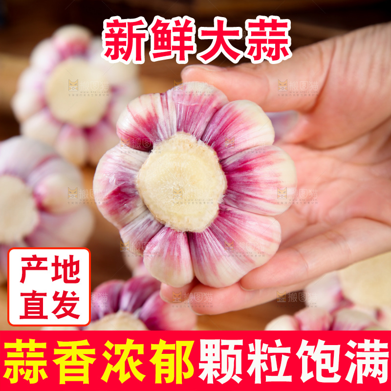 手里拿着大蒜