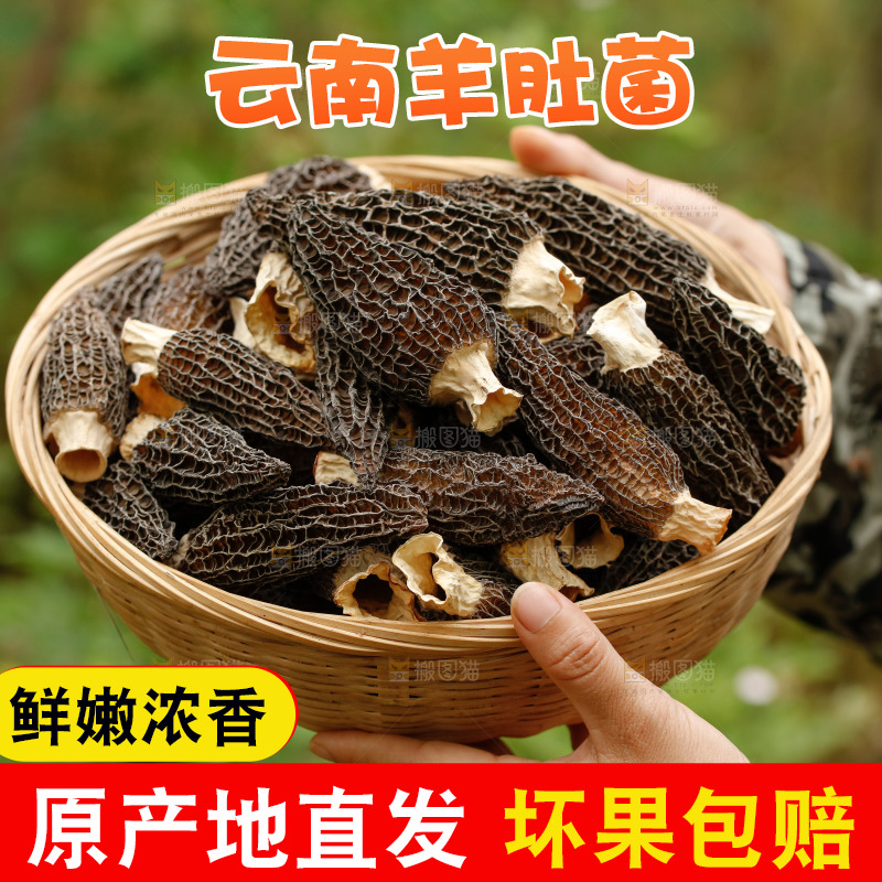 手里端着一篮干羊肚菌