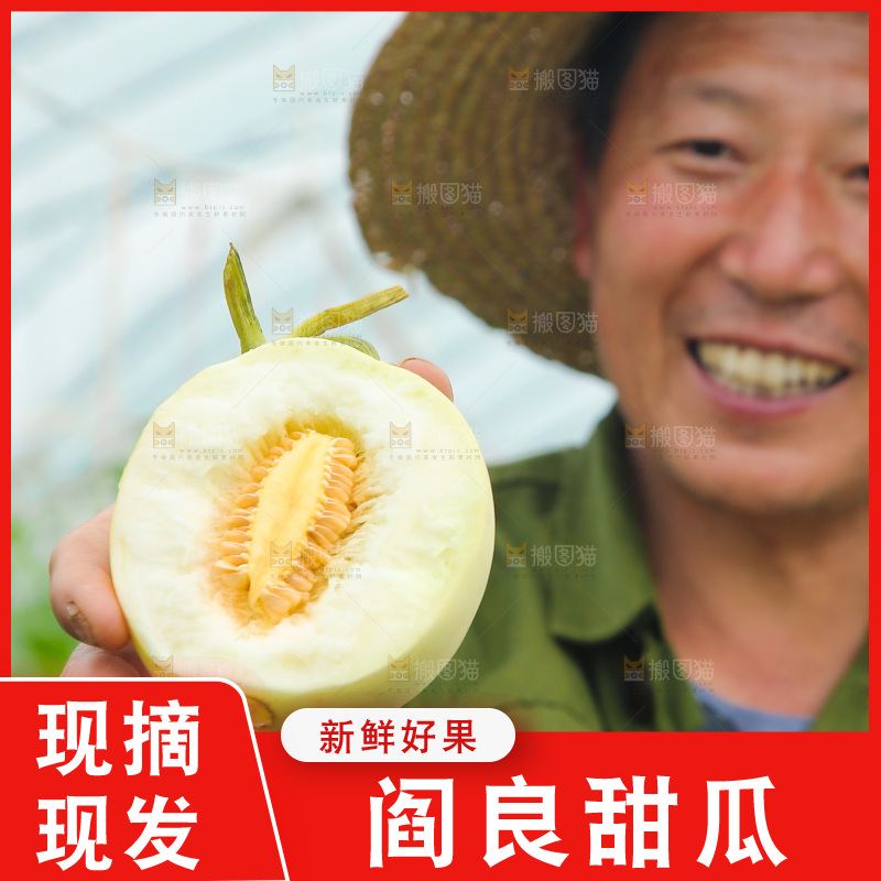 手里拿着阎良甜瓜