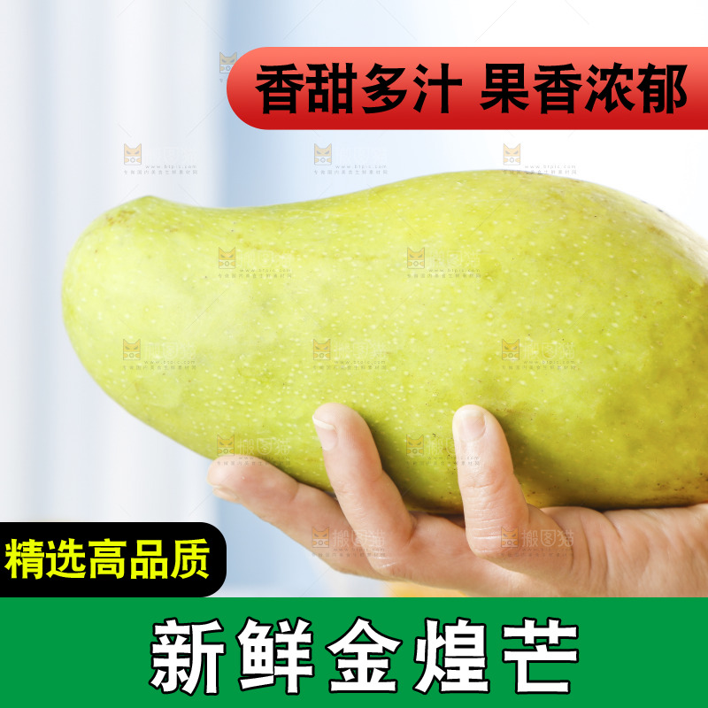 手里拿着大金煌芒