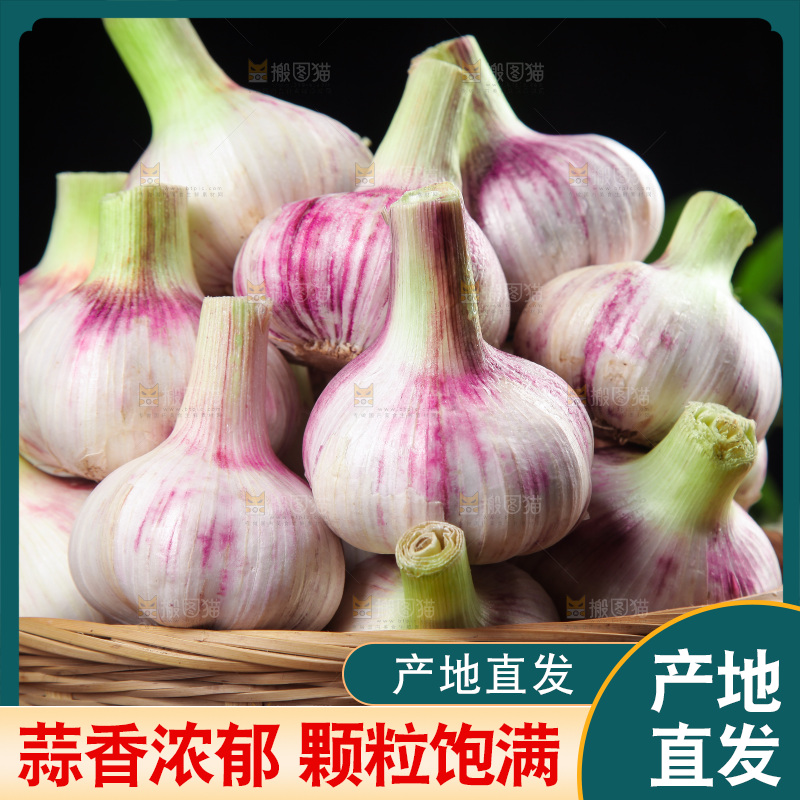 一篮紫皮鲜蒜