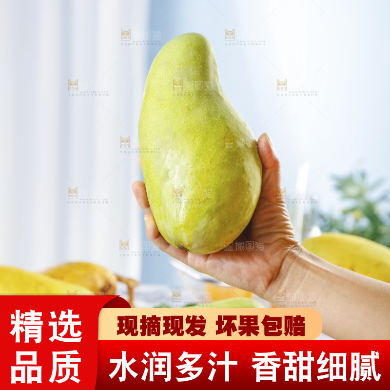 手里拿着大金煌芒