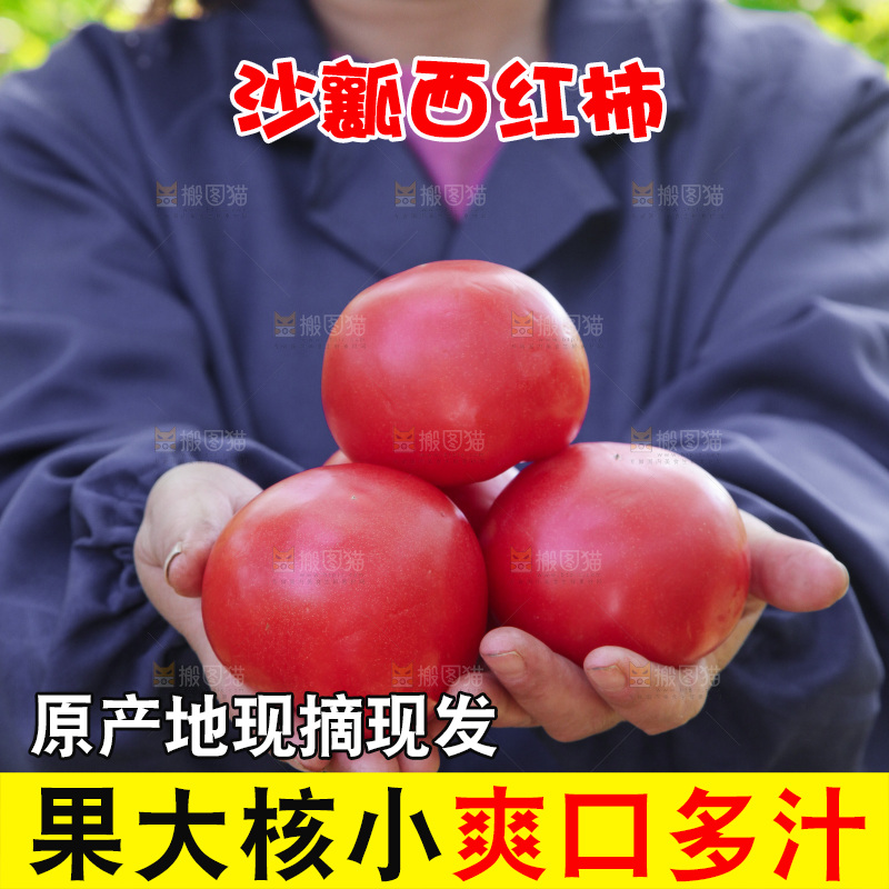 手里捧着番茄