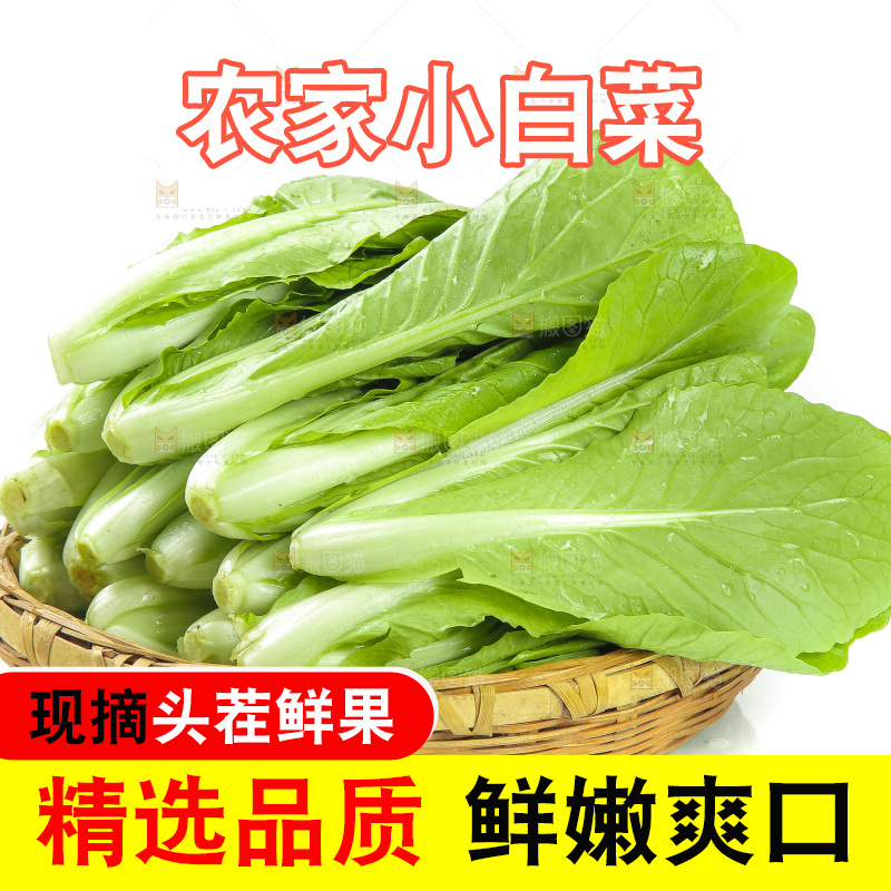 白底上放着一篮新鲜小白菜