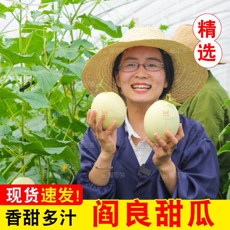 手里拿着阎良甜瓜