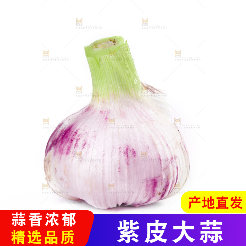 白底上的大蒜