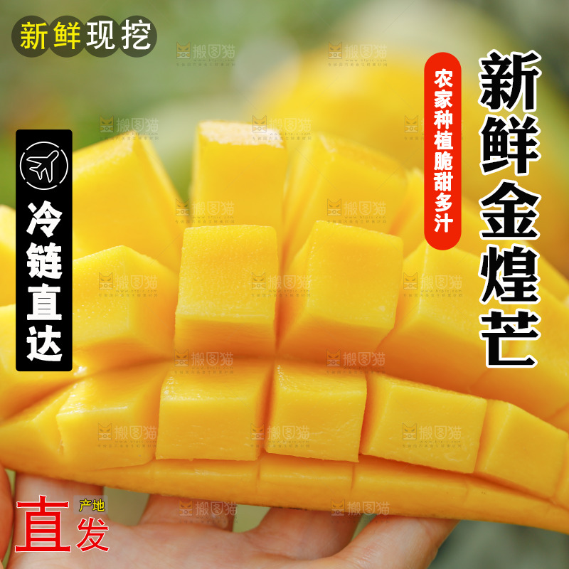 手里拿着金煌芒果肉