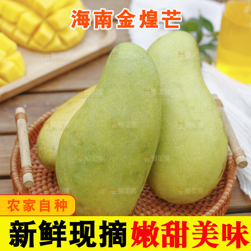一篮新鲜金煌芒