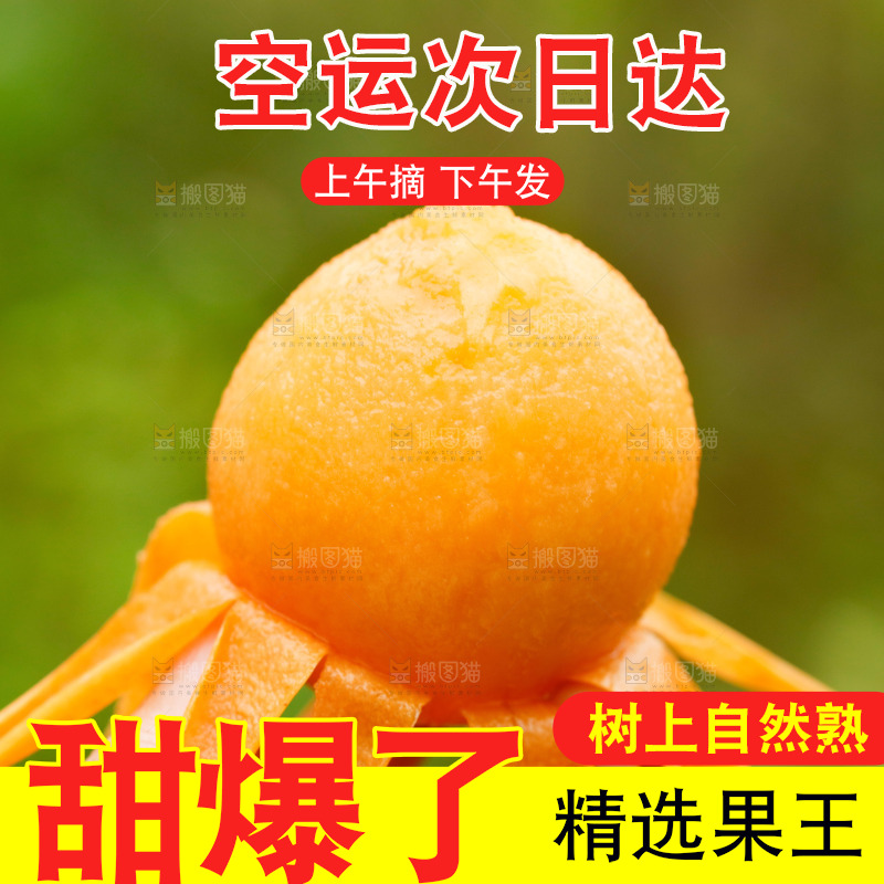 手里拿着枇杷