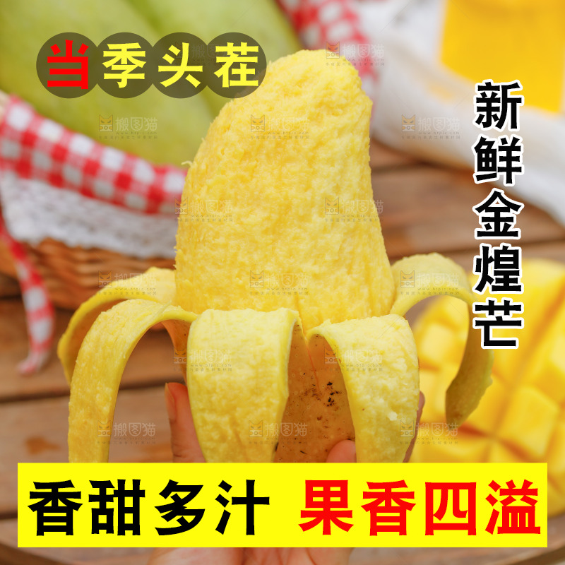 手里拿着大金煌芒