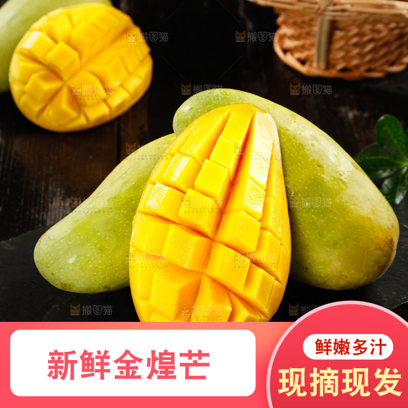 黑底上放着海南金煌芒