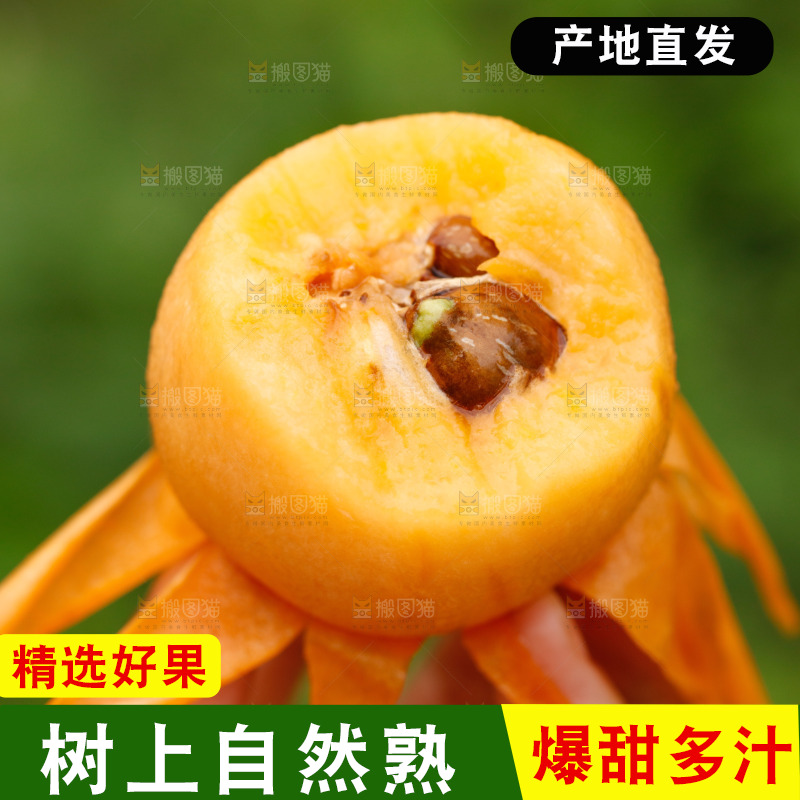 手里拿着枇杷