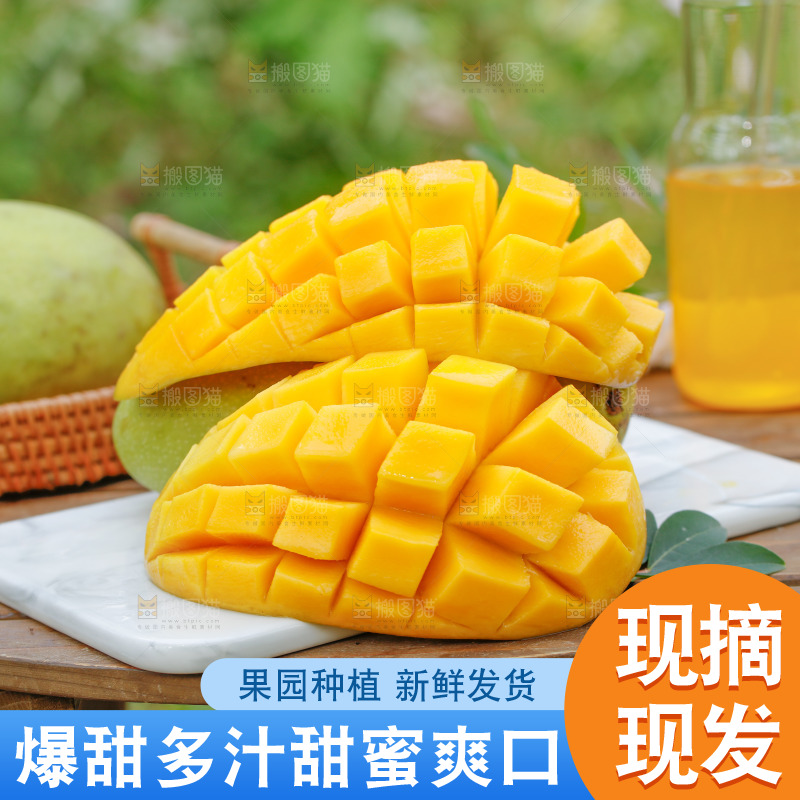 大理石板放着海南金煌芒