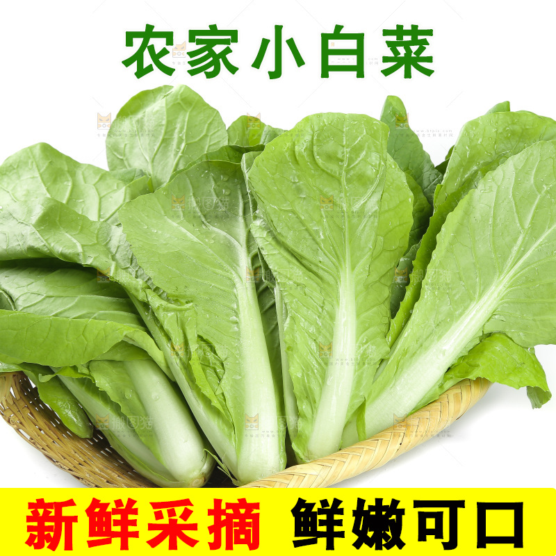 一篮小白菜