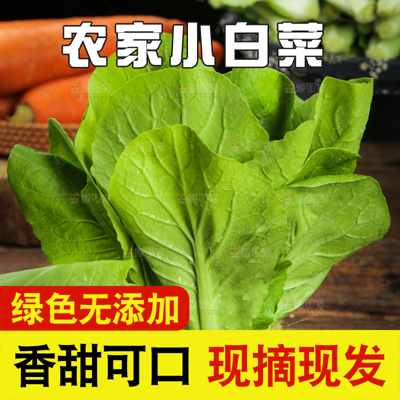 木底上放着小白菜