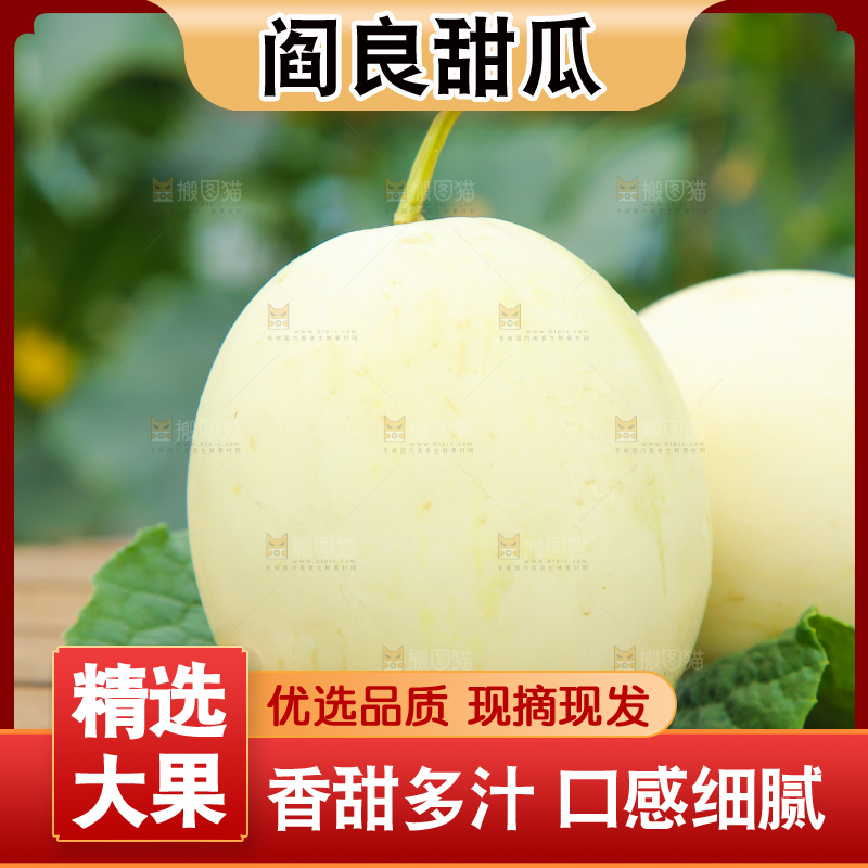 桌子上放着头茬阎良甜瓜