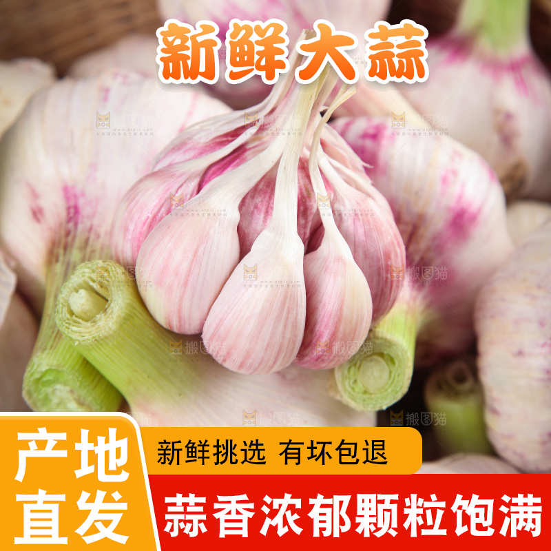 一篮紫皮大蒜