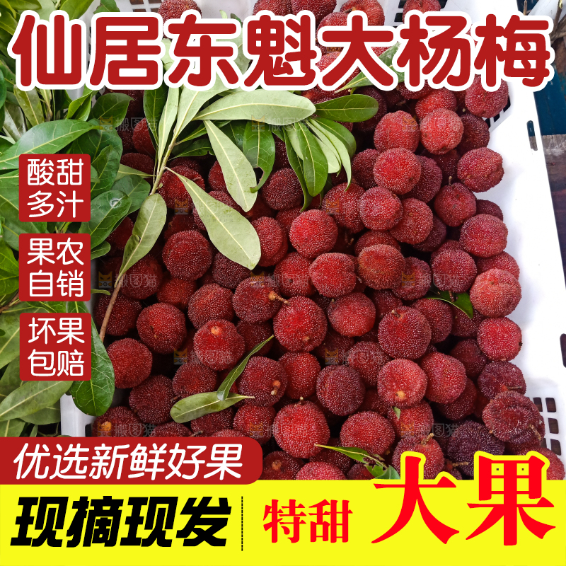 一筐新鲜杨梅