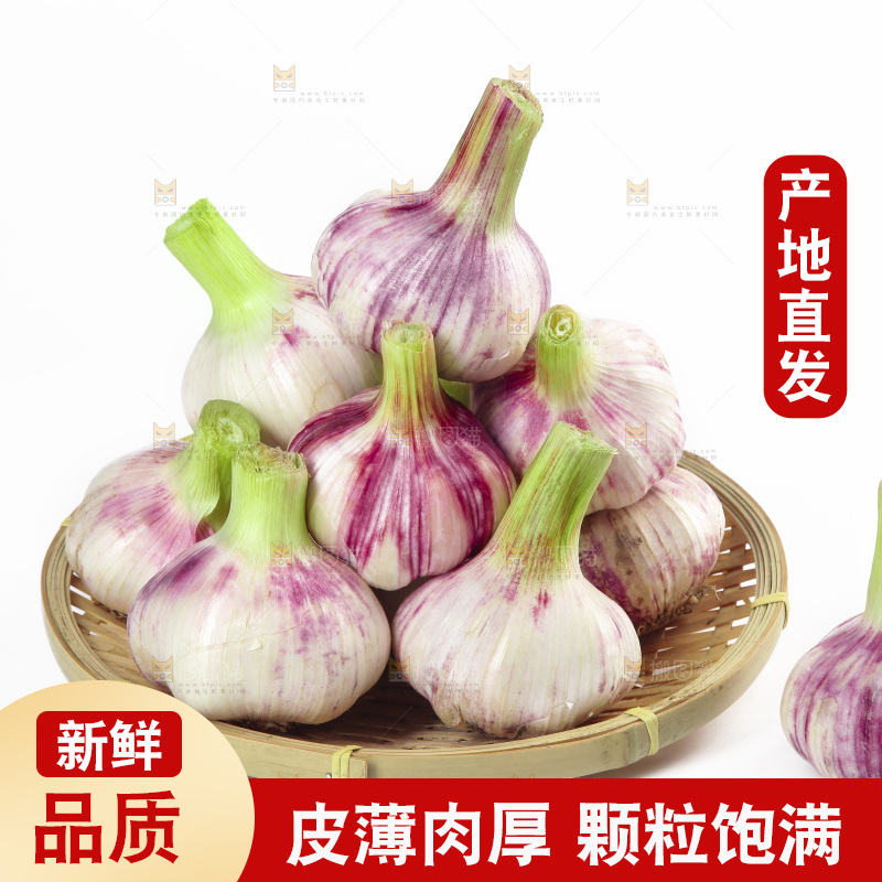 白底上放着一篮新鲜大蒜