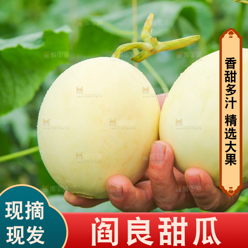 手里拿着甜瓜