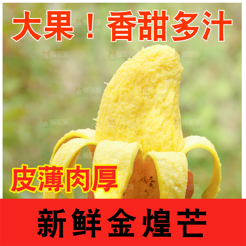 手里拿着芒果