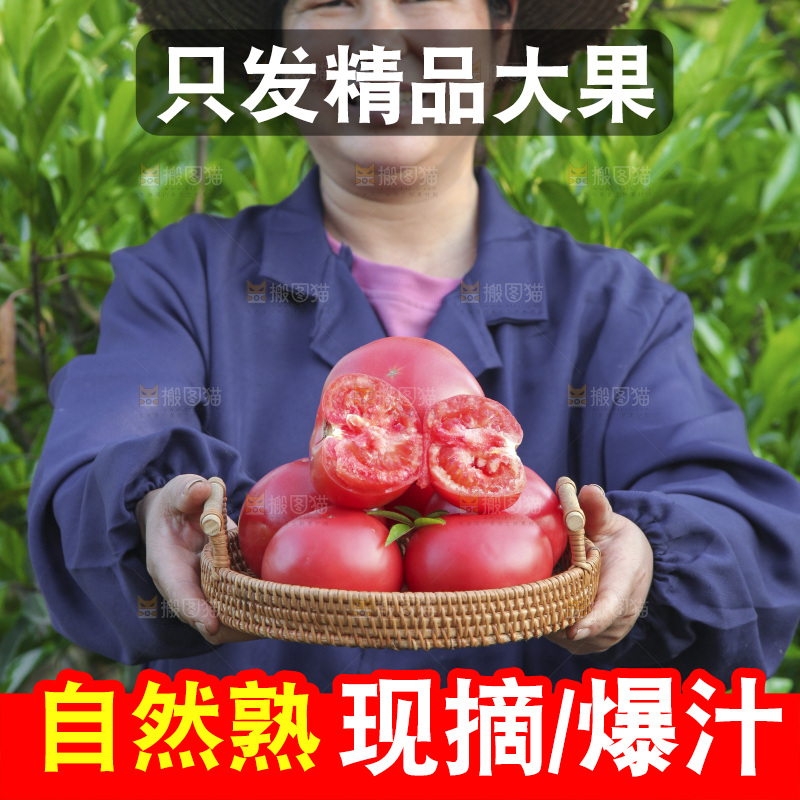 手里端着一篮番茄